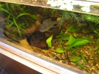 /album/fotogalerie/p8110117-jpg/