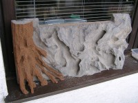 /album/fotogalerie-fotogalerie/p1010059-jpg2/