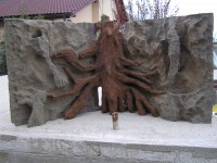 /album/fotogalerie-fotogalerie/p1010071-jpg/